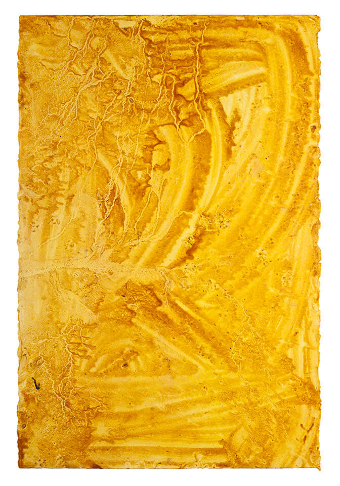 curcuma papel 28.jpg